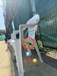 こんな所に挟まる奇跡笑<br>